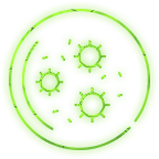 Bad Bacteria Takes Hold